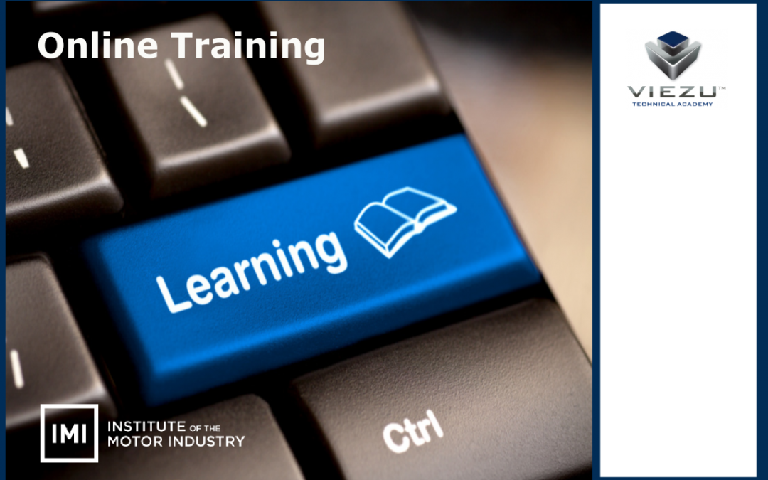 Viezu Technical Training Academy IMI Approved