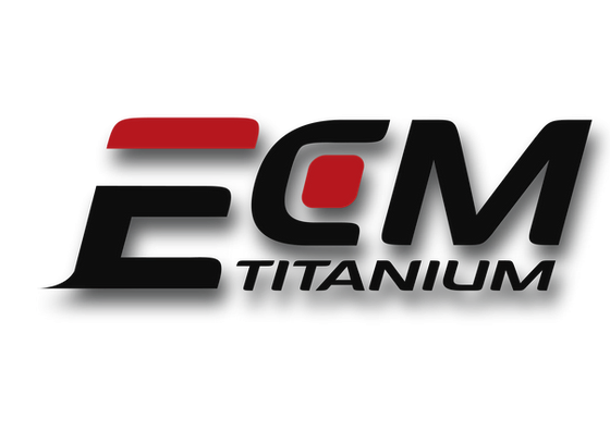 DSG Tuning Using ECM Titanium