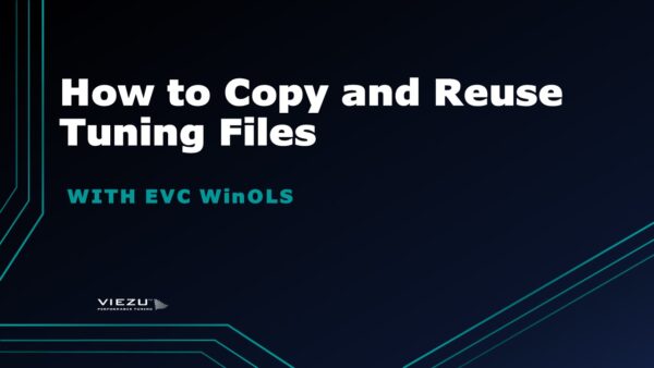 Capacitación en EVC WinOLS: cómo crear y utilizar scripts
