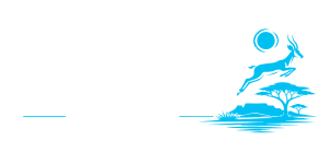 VTA South Africa White_LightBlue Logo