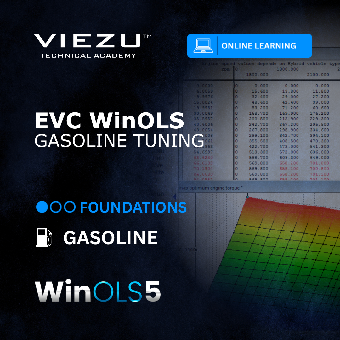 EVC WinOLS Gasoline Tuning Online Course - Complete Course Boxset